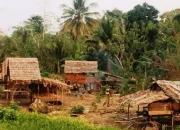 Eksistensi Masyarakat Adat Taa Wana Morut Terancam Hadirnya PT CAS