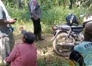 Ditertibkan Satgas PKH, PT KLS Masih Lakukan Aktivitas, Keberadaan Oknum Polisi Dipertanyakan