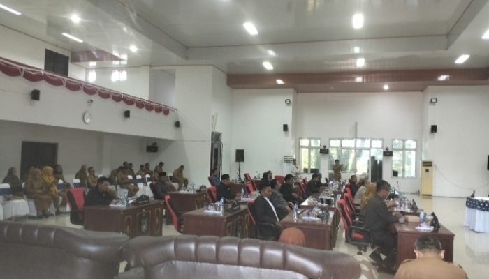 Fraksi Nasdem : Peningkatan Infrastruktur Jalan dan Pelayanan Kesehatan Harus Jadi Skala Prioritas Pemda Bangkep