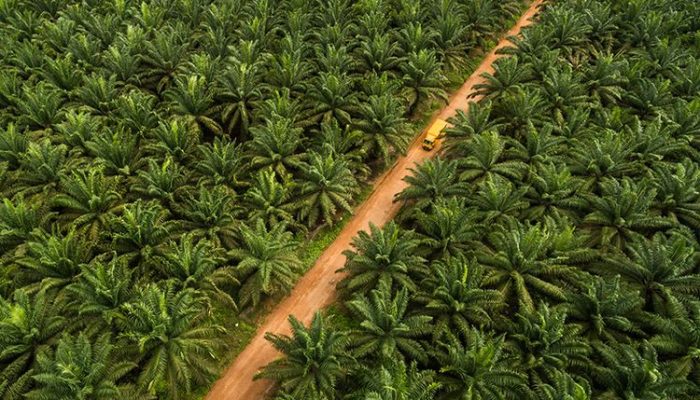 Penyelesaian Konflik Agraria PT ANA, Verifikasi dan Validasi Lahan diminta Harus Tepat Sasaran, Jangan Ada Skema lain