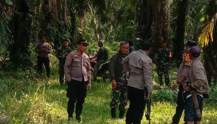 Keberadan Aparat Polisi dan TNI Di Arael PT KLS Dipertanyakan Masyarakat Adat Bungku Utara Morut