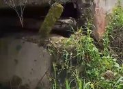 Jembatan Rusak dan Berpotensi Ambruk, Pemdes Lee Morut Himbau Pembatasan Kendaraan Besar