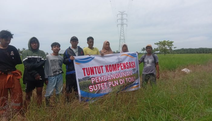 Petani Sawah di Toili Kembali Tuntut Kompensasi Dampak Proyek SUTET, PLN Diminta Komitmen
