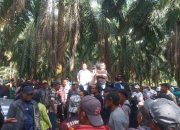 Sengketa Agraria Memanas di PT KLS, Warga Nyaris Adu Jotos dengan Pihak Perusahaan