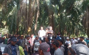 Sengketa Agraria Memanas di PT KLS, Warga Nyaris Adu Jotos dengan Pihak Perusahaan