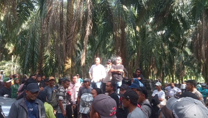 Sengketa Agraria Memanas di PT KLS, Warga Nyaris Adu Jotos dengan Pihak Perusahaan