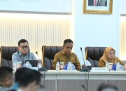 Genjot Pertumbuhan Ekonomi, Pemprov Sulteng Jalin Kerjasama dengan Tiongkok