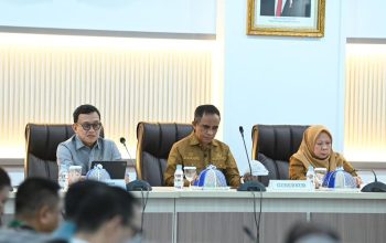 Genjot Pertumbuhan Ekonomi, Pemprov Sulteng Jalin Kerjasama dengan Tiongkok