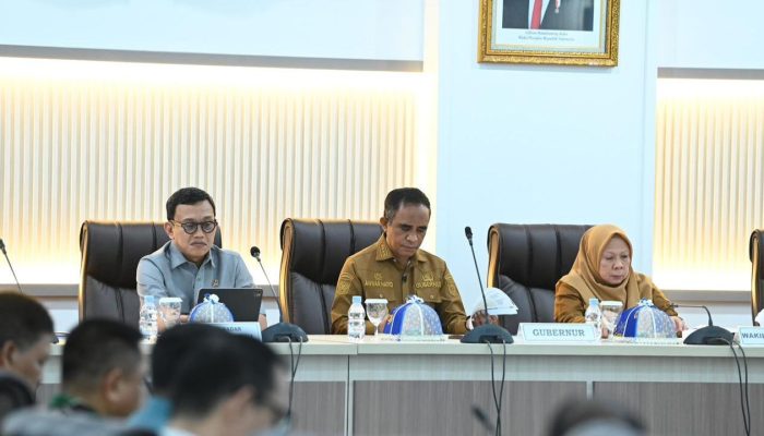 Genjot Pertumbuhan Ekonomi, Pemprov Sulteng Jalin Kerjasama dengan Tiongkok