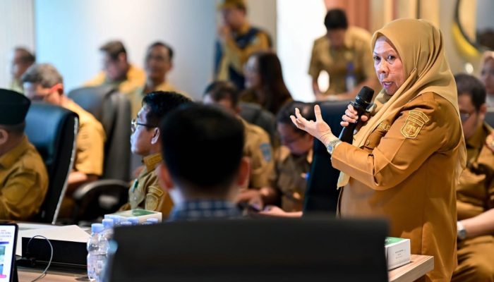 Pemprov Sulteng Dorong Pembiayaan Proyek Hilirisasi Kelapa dan Kawasan TCT ke Bappenas