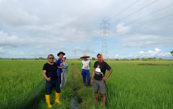 Warga Paling Rasakan Dampak Sutet di Toili, PLN Diminta Serius Tuntaskan Ganti Rugi