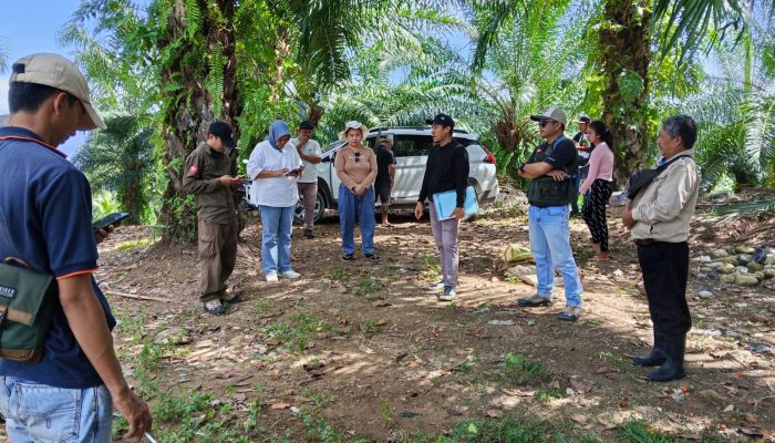 PT Sawindo Belum Serahkan Hasil Verifikasi Lahan Warga, LBH Luwuk Ingatkan Isi Akta Damai