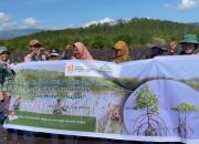 Aksi Konservasi Penanaman Mangrove di Hutan Bakau Kolomboy Libatkan Perempuan dalam Pelestarian Ekosistem Pesisir