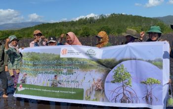 Aksi Konservasi Penanaman Mangrove di Hutan Bakau Kolomboy Libatkan Perempuan dalam Pelestarian Ekosistem Pesisir