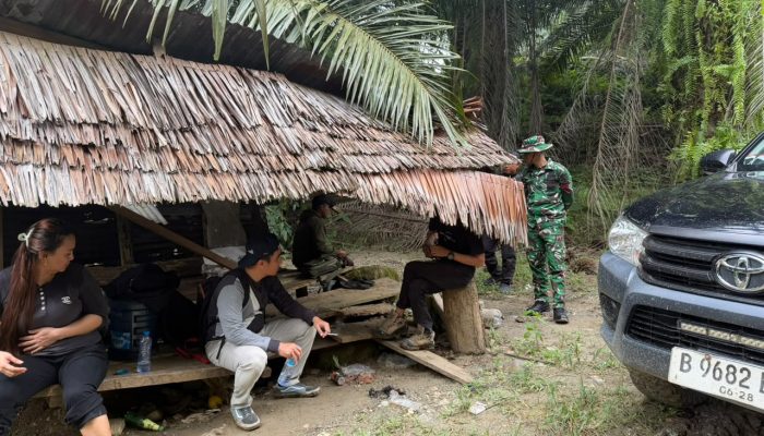 Akta Damai 2023 Tak Kunjung Ditindaklanjuti PT Sawindo, Warga Panen Paksa Buah Sawit