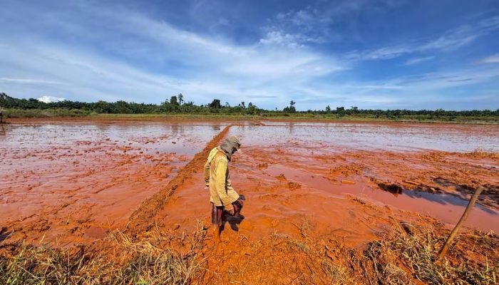 Aktivitas PT Alaska Dwipa Perdana Di Morowali Dipertanyakan, Warga Sorot Izin dan Dampak Lingkungan