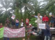 Konflik Agraria Di Lingkar PT KLS Memanas, Masyarakat Adat Suku Taa Toili Kembali Beraksi