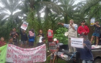 Konflik Agraria Di Lingkar PT KLS Memanas, Masyarakat Adat Suku Taa Toili Kembali Beraksi