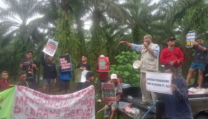 Konflik Agraria Di Lingkar PT KLS Memanas, Masyarakat Adat Suku Taa Toili Kembali Beraksi