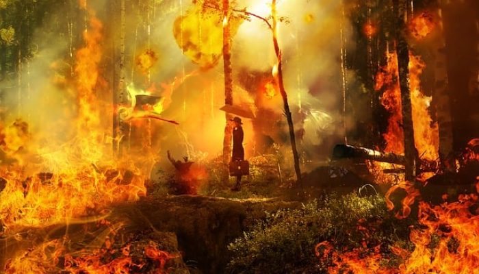 Karhutla Sulteng Meningkat : Sejumlah NGO Desak Status Tanggap Darurat, Pencegahan Berbasis Masyarakat dan Perlindungan Ekosistem