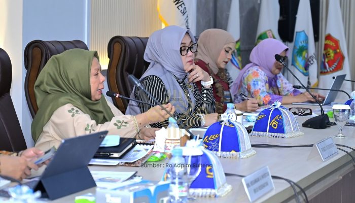 Wagub Reny Minta Pusat Perkuat Layanan Kesehatan Sulteng